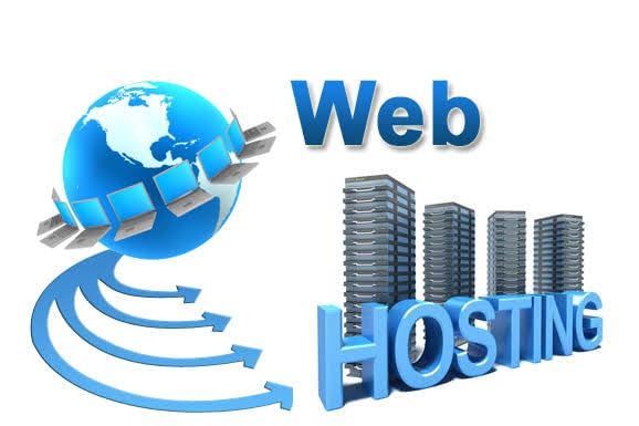 What to Look For In A Web Hosting Provider?